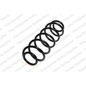 Coil Spring - Rear