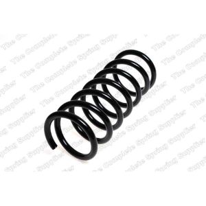 Coil Spring - Rear