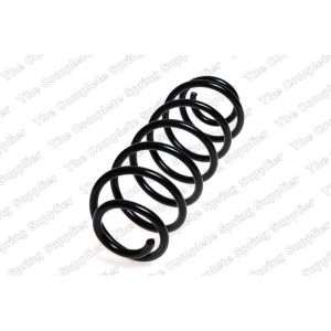 Coil Spring - Rear