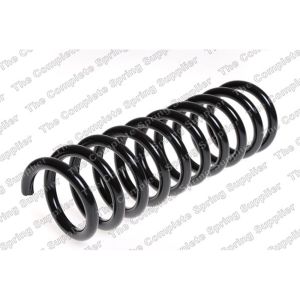 Coil Spring - Rear