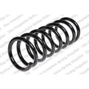 Coil Spring - Rear