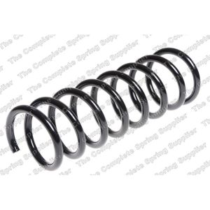 Coil Spring - Rear