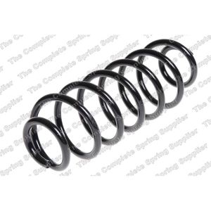 Coil Spring - Rear