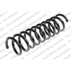 Coil Spring - Rear