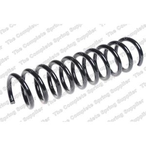 Coil Spring - Rear