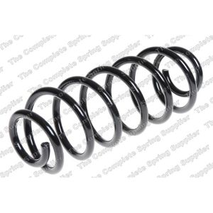 Coil Spring - Rear