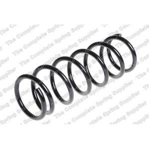 Coil Spring - Rear