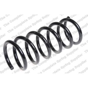 Coil Spring - Rear