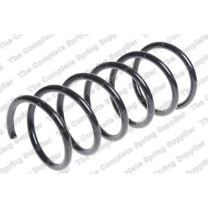 Coil Spring - Rear