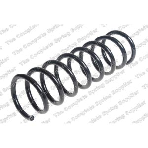 Coil Spring - Rear