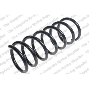 Coil Spring - Rear