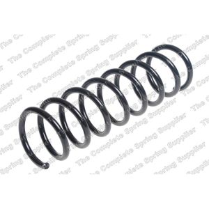 Coil Spring - Rear