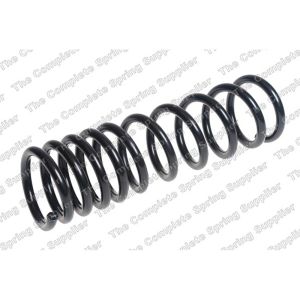 Coil Spring - Rear