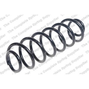 Coil Spring - Rear