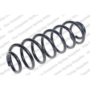 Coil Spring - Rear