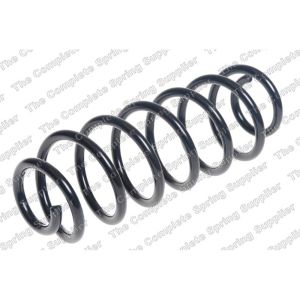 Coil Spring - Rear