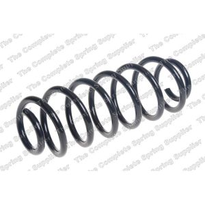 Coil Spring - Rear