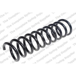 Coil Spring - Rear