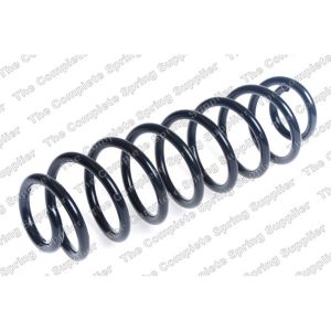 Coil Spring - Rear