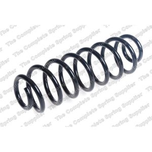 Coil Spring - Rear