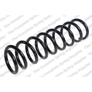 Coil Spring - Rear