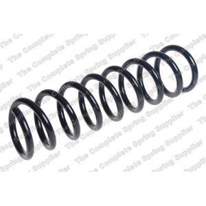 Coil Spring - Rear