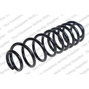 Coil Spring - Rear