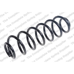 Coil Spring - Rear