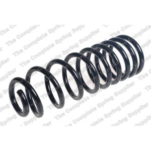 Coil Spring - Rear