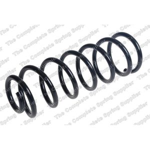 Coil Spring - Rear