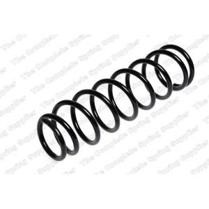 Coil Spring - Rear