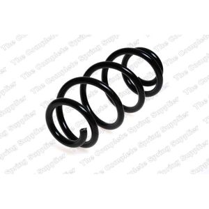 Coil Spring - Rear