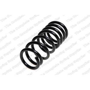 Coil Spring - Rear