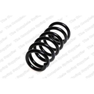 Coil Spring - Rear