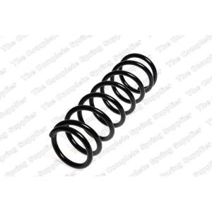 Coil Spring - Rear