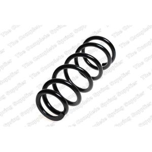 Coil Spring - Rear