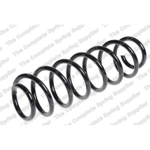 Coil Spring - Rear