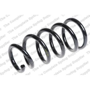 Coil Spring - Rear