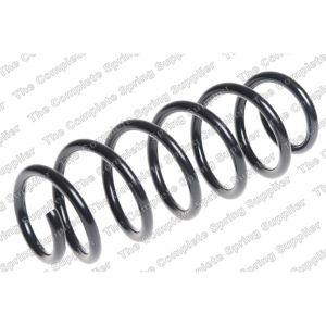 Coil Spring - Rear