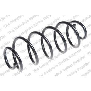 Coil Spring - Rear