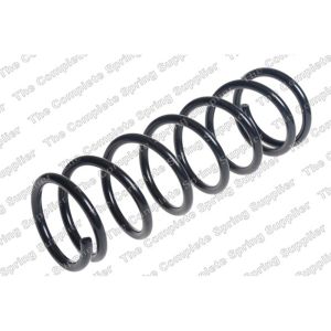 Coil Spring - Rear