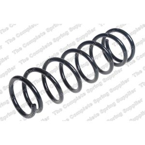 Coil Spring - Rear