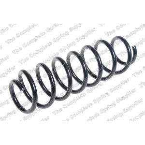 Coil Spring - Rear RH