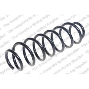 Coil Spring - Rear LH