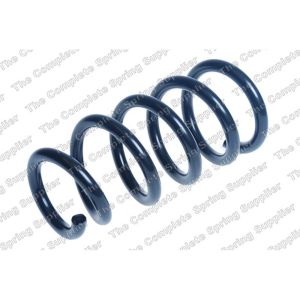 Coil Spring - Rear