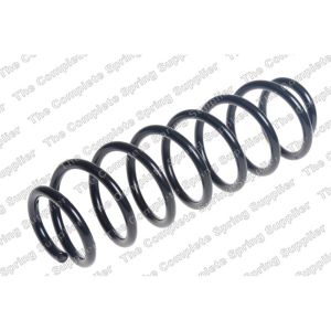 Coil Spring - Rear