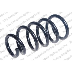 Coil Spring - Rear