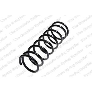 Coil Spring - Rear