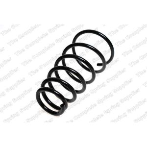 Coil Spring - Rear