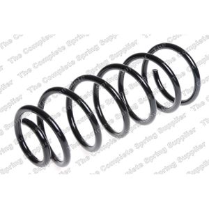 Coil Spring - Rear